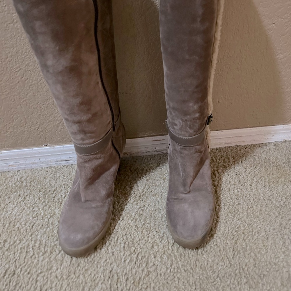 Aquatalia Gray Suede High Boot